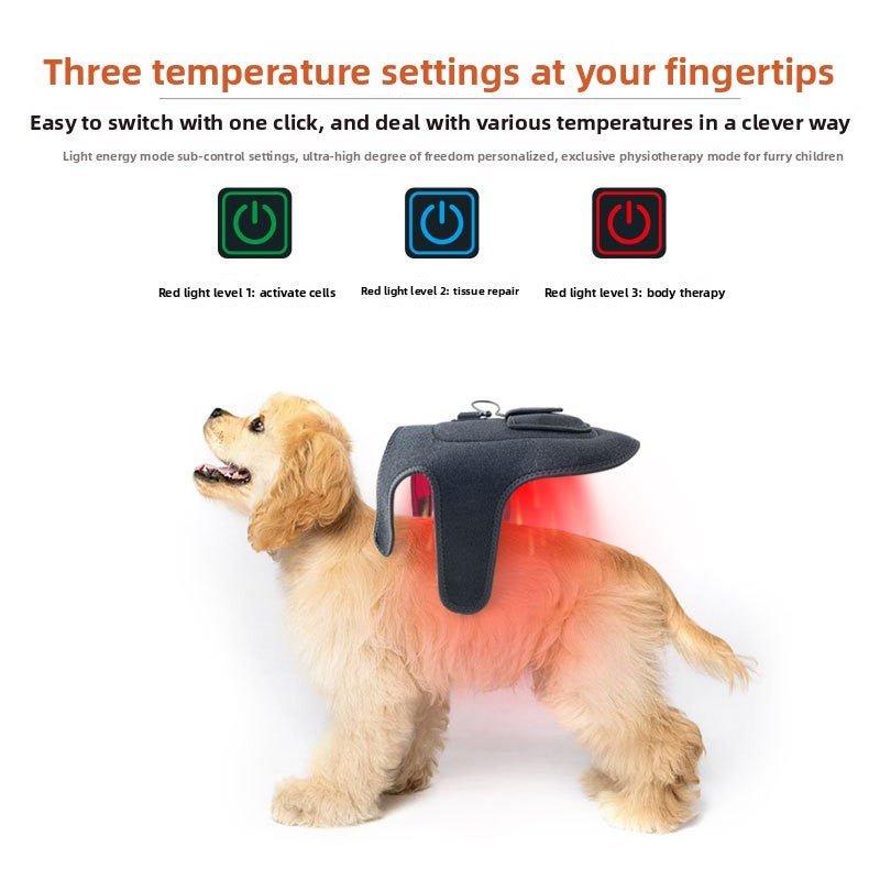 Red Light Therapy Belt