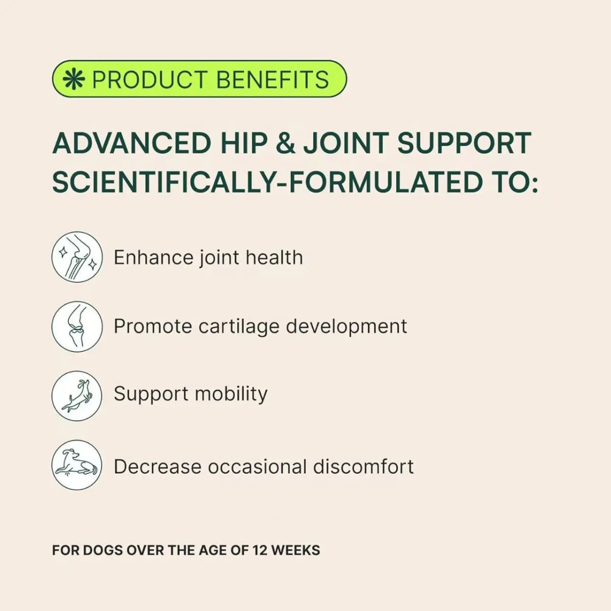 Joint Health Chewable